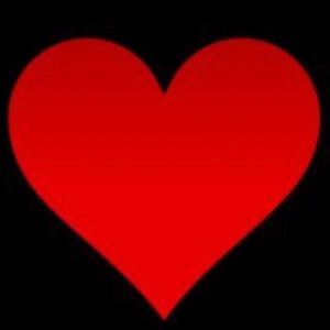 Meet your Posher, Ava